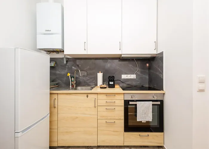 Apartamento Close To Center Viena